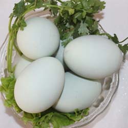 散養鴨蛋